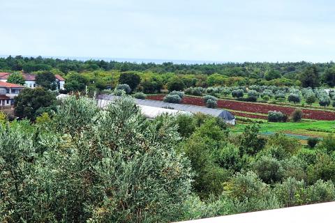 Casa Sveta Marija na Krasu-dio, Umag, 280m2