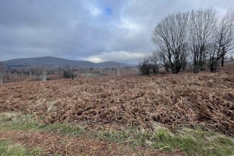 Brinje, Vodoteč - poljoprivredno zemljište