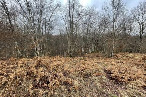 Brinje, Vodoteč - livada