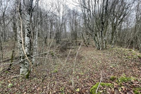 Brinje, Vodoteč - livada