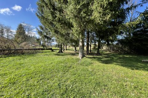 Gorski kotar, Ogulin, Josipdol - Casa con grande giardino