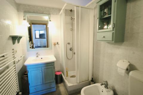 Istra, Rovinjsko selo - kuća sa tri stana i velikom okućnicom 