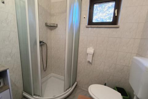 Istra, Rovinjsko selo - kuća sa tri stana i velikom okućnicom 