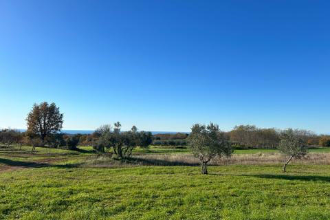 Stavbno zemljišče Kaštelir, Kaštelir-Labinci, 6.175m2