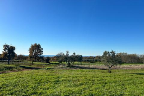 Stavbno zemljišče Kaštelir, Kaštelir-Labinci, 6.175m2