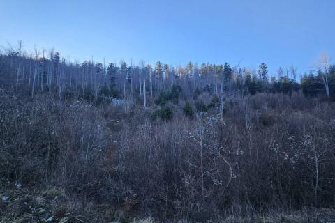 Bauland Lič, Fužine, 740m2