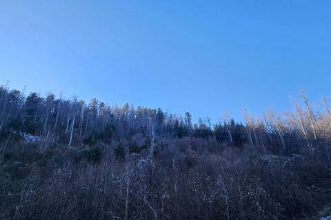 Bauland Lič, Fužine, 740m2