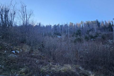 Bauland Lič, Fužine, 740m2