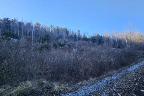 Bauland Lič, Fužine, 740m2