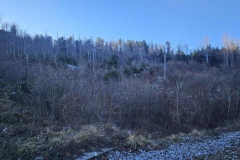 Bauland Lič, Fužine, 740m2