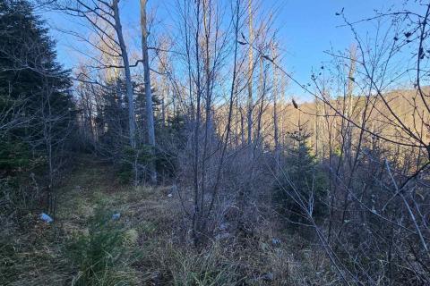 Bauland Lič, Fužine, 740m2