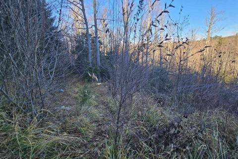 Bauland Lič, Fužine, 740m2