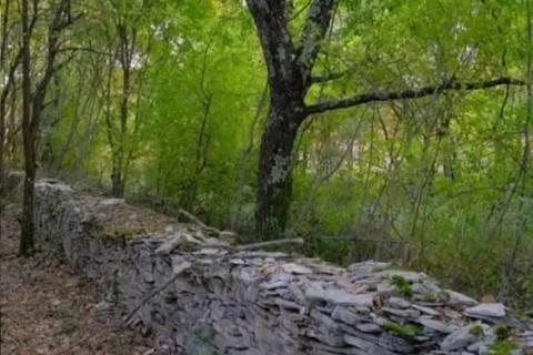 Земельный участок нестроительного назначения Barat, Kanfanar, 4.255m2