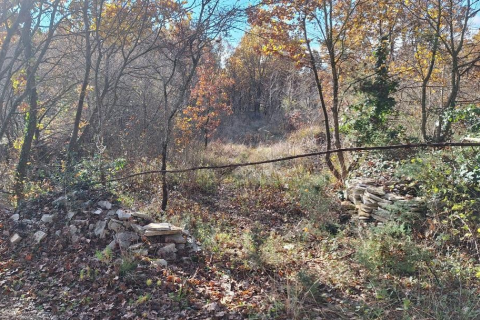 Земельный участок нестроительного назначения Barat, Kanfanar, 4.255m2