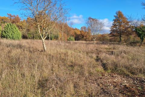 Земельный участок нестроительного назначения Barat, Kanfanar, 6.065m2