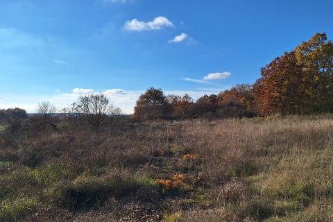 Земельный участок нестроительного назначения Barat, Kanfanar, 6.065m2