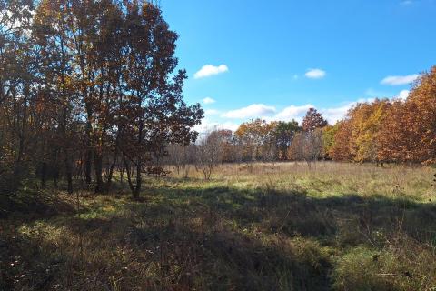 Земельный участок нестроительного назначения Barat, Kanfanar, 6.065m2