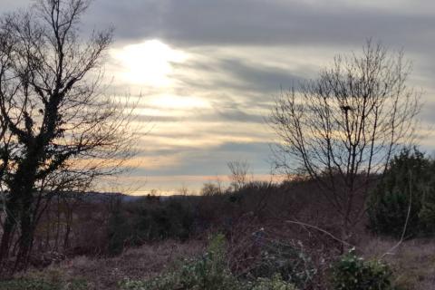 Земельный участок нестроительного назначения Barat, Kanfanar, 6.065m2