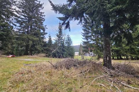 Stavbno zemljišče Sunger, Mrkopalj, 9.500m2