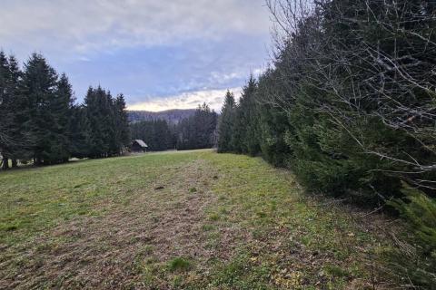 Stavbno zemljišče Sunger, Mrkopalj, 9.500m2