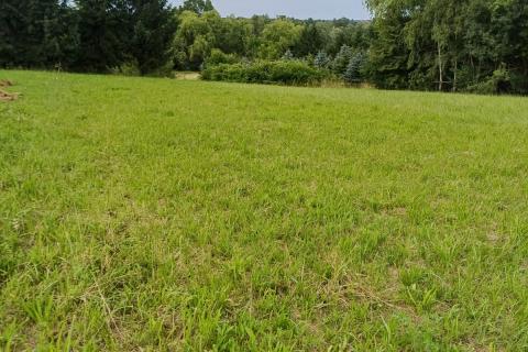 Building plot Čazma, 1.404m2