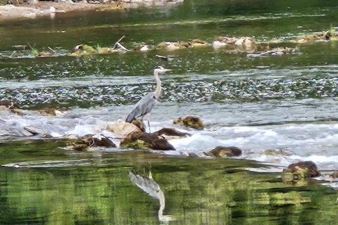 Rim, Vrbovsko, 686m2