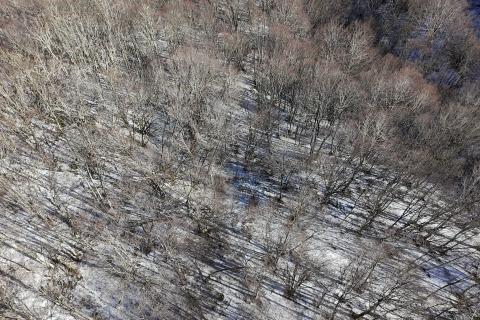 Vodoteč, Brinje – Casa per cacciatori con 8 ettari di terreno