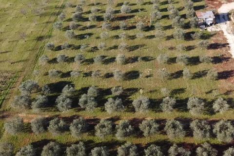 Building plot Poreč okolica, Poreč, 5.716m2