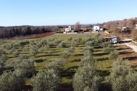 Building plot Poreč okolica, Poreč, 5.716m2