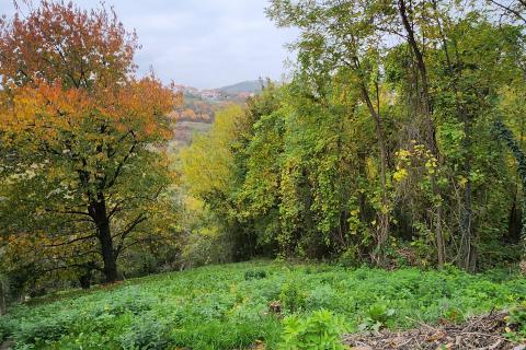 Stavbno zemljišče Mikulići, Črnomerec, 636m2