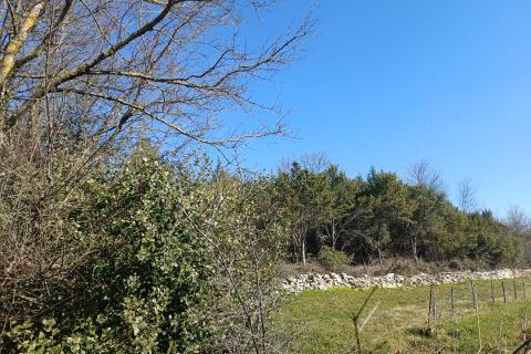 Niet bouwgrond Rovinj, 7.553m2