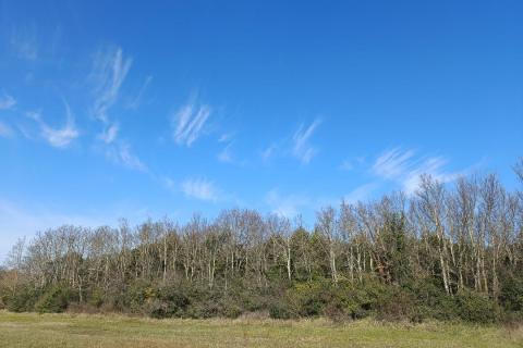 Niet bouwgrond Rovinj, 7.553m2