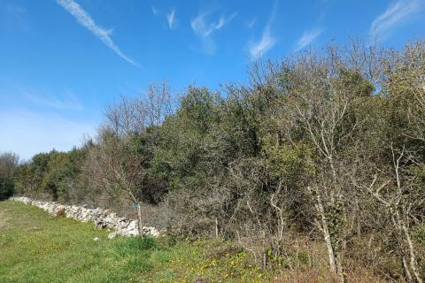 Niet bouwgrond Rovinj, 7.553m2