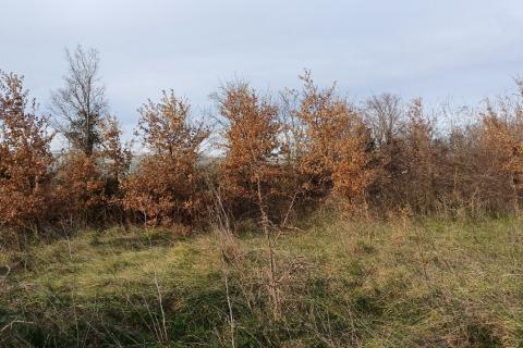 Istra, Vodnjan, građevinsko zemljište, industrijska zona