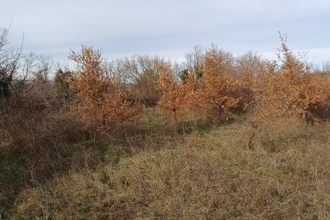 Istra, Vodnjan, građevinsko zemljište, industrijska zona