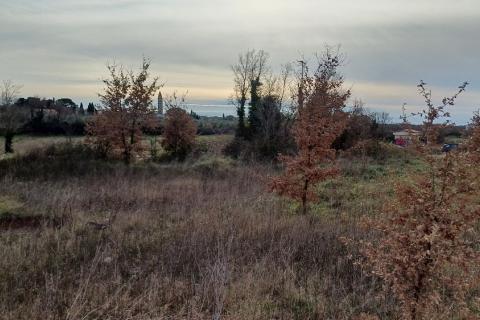 Istra, Vodnjan, građevinsko zemljište, industrijska zona