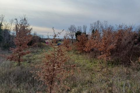 Istra, Vodnjan, građevinsko zemljište, industrijska zona