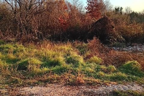 Bauland Matulini, Poreč, 2.812m2