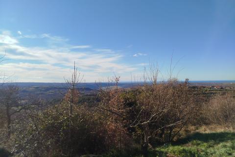 House Krasica, Buje, 116m2