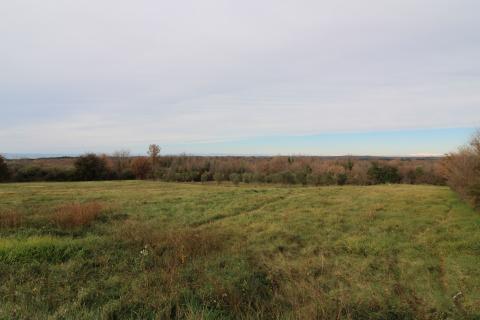 Zemlji&scaron;te s pogledom na more