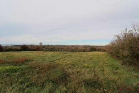 Zemlji&scaron;te s pogledom na more