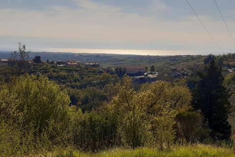 House Krasica, Buje, 116m2