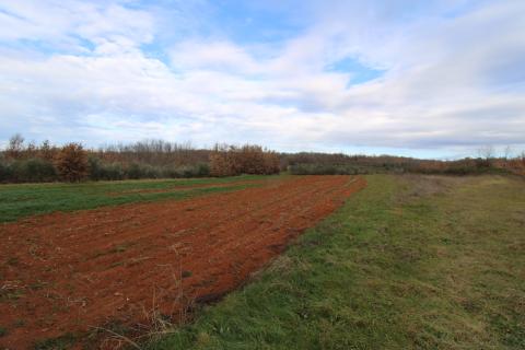 Istra, Vižinada-Kompleks starih kamenih kuća s pogledom na more