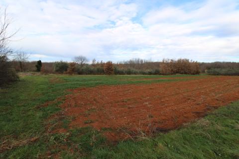 Istra, Vižinada-Kompleks starih kamenih kuća s pogledom na more