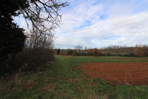 Istra, Vižinada-Kompleks starih kamenih kuća s pogledom na more