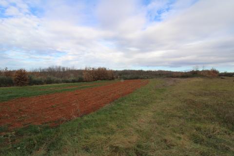 Istra, Vižinada-Kompleks starih kamenih kuća s pogledom na more