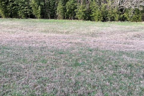 Istra, Poreč-ugostiteljsko stambeni prostor s građevinskim zemljištem