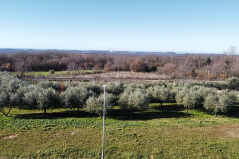 Building plot Kanfanar, 2.754m2