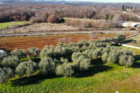 Building plot Kanfanar, 2.754m2