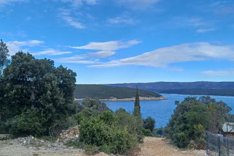 Istra, Peruški okolica, šuma blizu mora